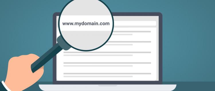 Searching for my domain using magnifying glass aimed at search bar.