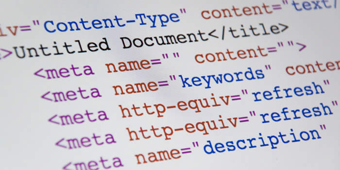 Meta tag examples.